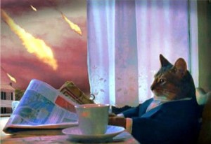 Create meme: the cat with a newspaper, cat, cat funny