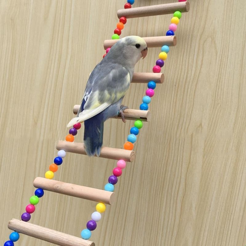 Create meme: toys for corella parrots, ladder for a parrot, budgie