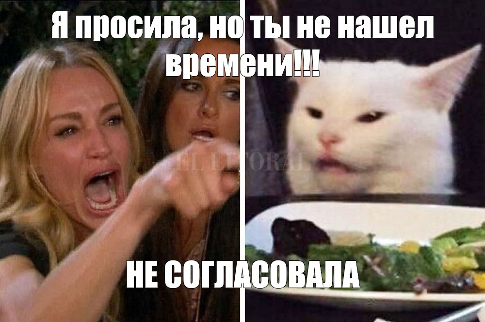 Жена кошка мем