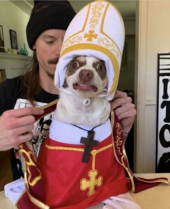 Создать мем: собачка в костюме, костюм для собаки папа римский, собака