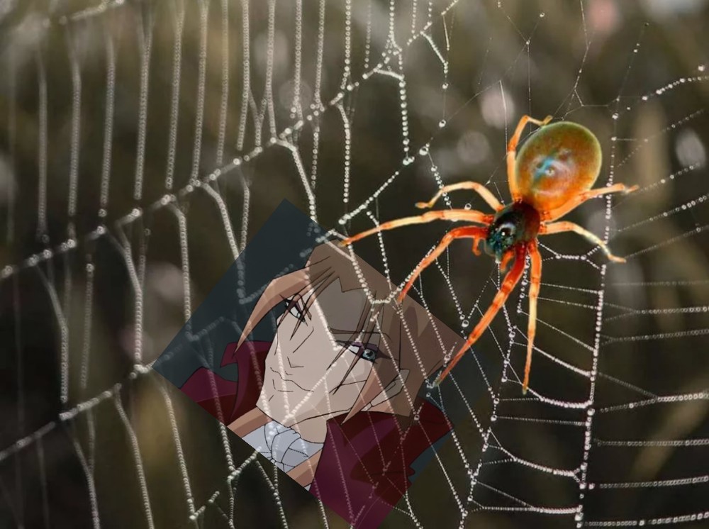 Алиса включи паука. Паук на паутине. Паук плетет паутину. Плетение паутины пауком. Паук сплёл паутину.