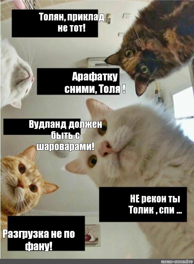 Лилина наташа привет. Мемы с котом. Кошка Мем. Мемы с котами и Наташей. Кот жрать Мем.