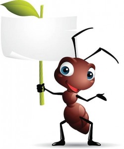 Create meme: cute ant, cartoon ant