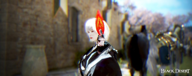 Create meme: 3d chinese anime, succession warrior, bdo