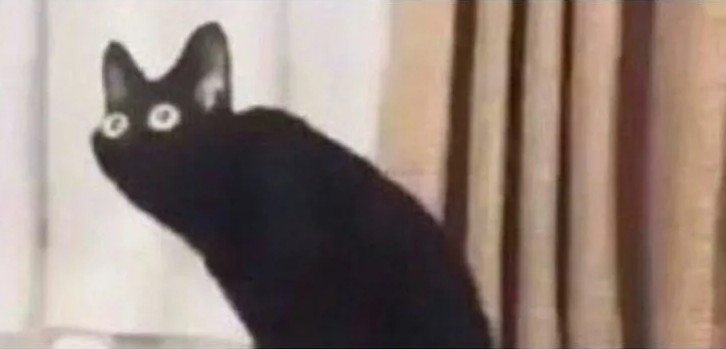 Create meme: meme cat , nihuyase the cat, surprised black cat
