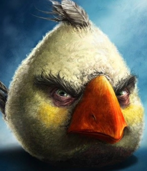 Create meme: realistic angry birds, birds angry birds, birds angry birds 