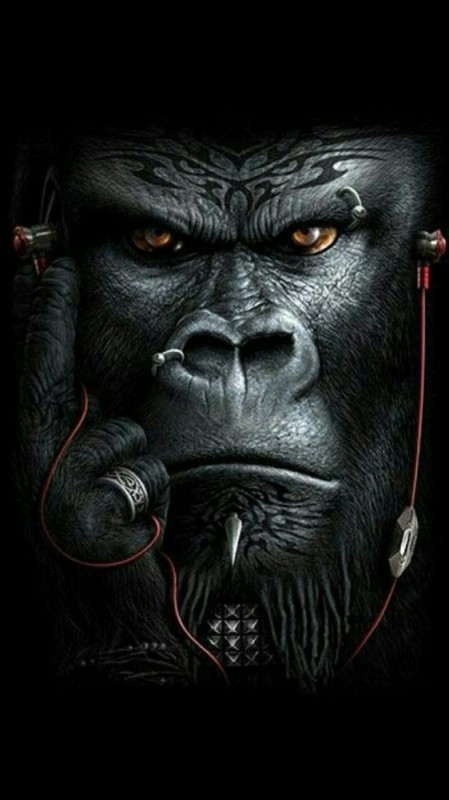Create meme: Black Gorilla, gorilla art, gorilla with a cigar