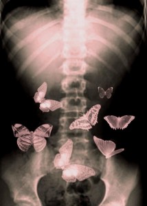 Create meme: x-ray butterfly, pictures of butterflies in the stomach love, butterflies in stomach photo