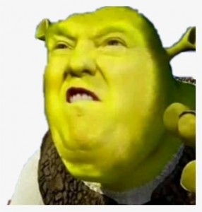 Create meme: Shrek funny, the face of Shrek, Shrek meme