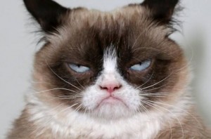 Create meme: the grumpy cat, grumpy cat, gloomy cat