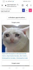Создать мем: кошка плачет мем, грустный котик мем, мем плачущий кот