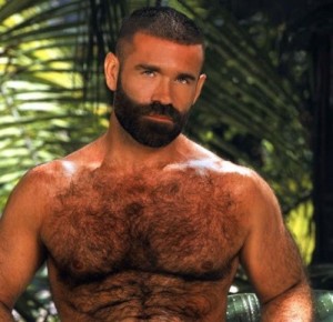 Создать мем: gay, muscle bear, beard