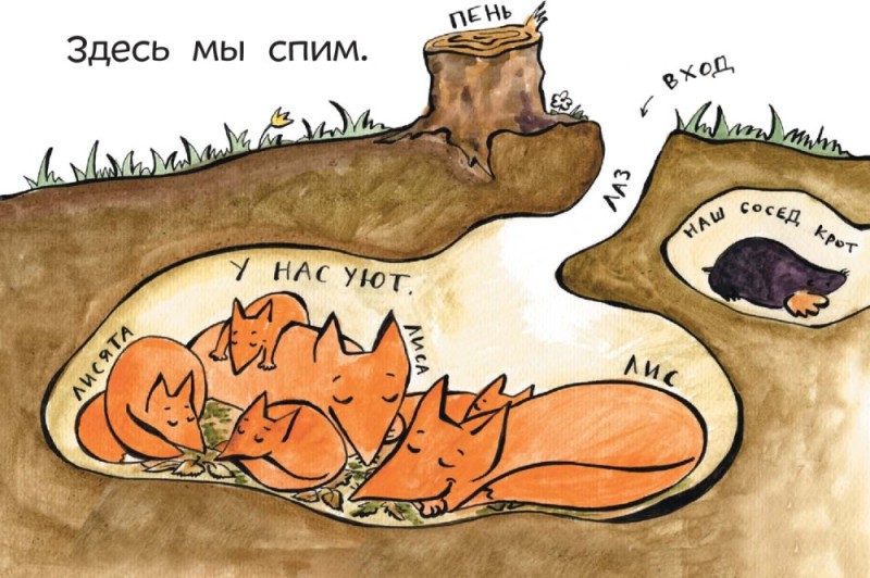 Create meme: fox hole, The fox is lying drawing, fox mink