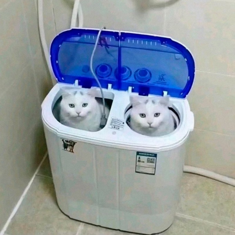 Создать мем: поилка фонтан для кошек, животные домашние, автоматическая поилка для кошек