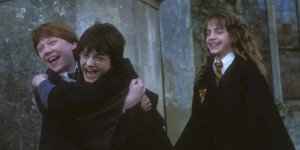 Create meme: Hermione Granger Harry Potter, Harry Potter