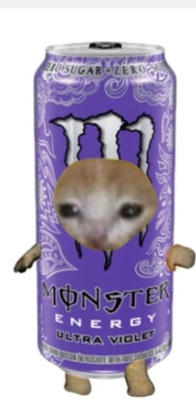 Создать мем: monster energy drink, животные милые, энергетик кот