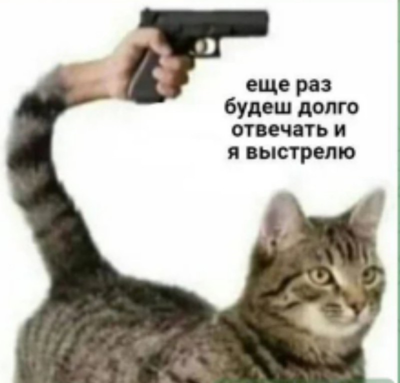 Создать мем: кот, котик с пистолетом, кот с оружием