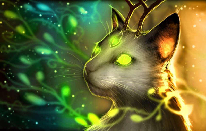 Создать мем: фантастические кошки, огненный кот арт, волшебные коты