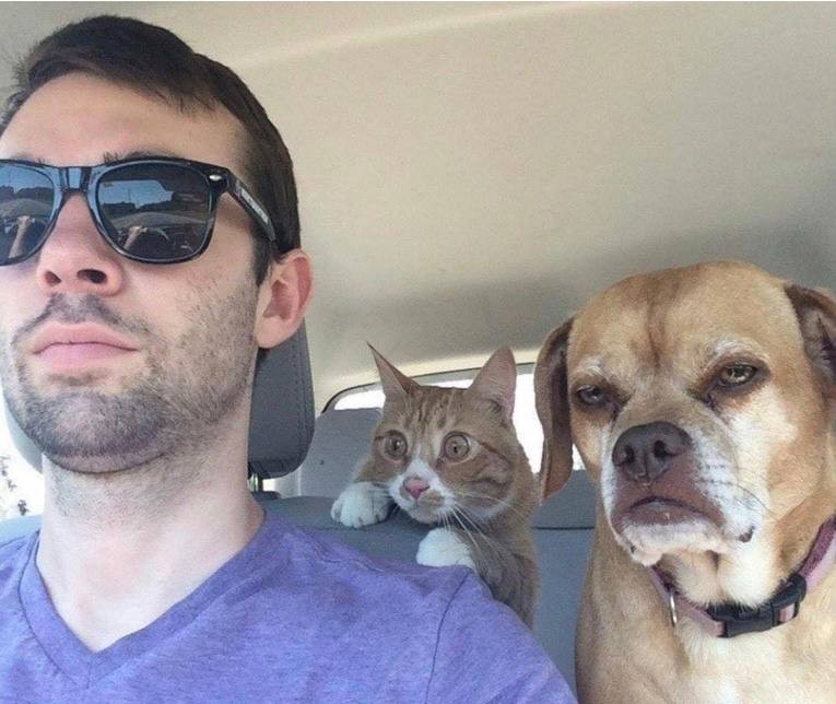 Create meme: The cat is an alarmist, dog selfie, selfie cat
