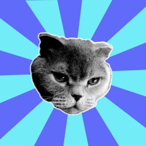 Создать мем: создать мем, cat simulator, кот мем