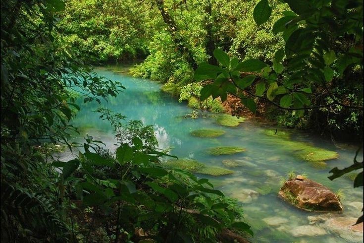 Создать мем: лес водопад, коста рика реки, daintree rainforest австралия