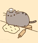 Create meme: the pusheen cat, Pushin , pusheen cat