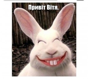 Create meme: rabbit smiles, funny rabbit
