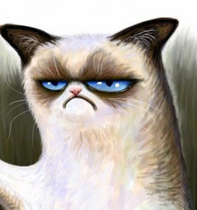 Создать мем: грампи кэт, угрюмый кот, мем недовольный кот