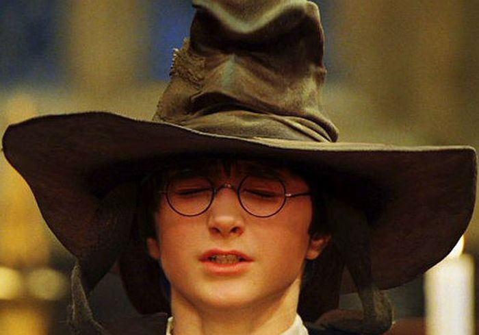 Create meme: memes Harry Potter , hat from Harry Potter, distributing hat harry potter