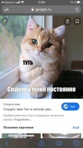 Create meme: Screenshot, cat, tut meme cat