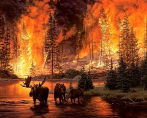 Create meme: forest fire, forest fire illustration, a fire in the woods