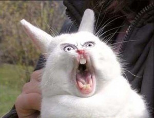 Создать мем: зевающий кролик, заяц кричит, кричащий кролик