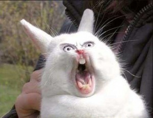 Создать мем: кричащий заяц, кричащий кролик, орущий заяц