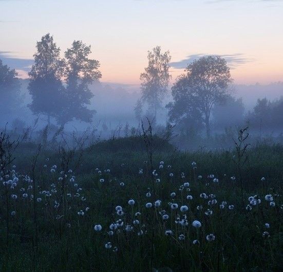 Создать мем: пейзаж, туман утром, чистое поле в тумане