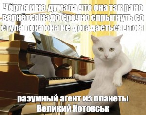 Пианино мемы играть. Кот пианист. Кот пианист Мем. Мемы про пианистов. Котик играет на пианино Мем.