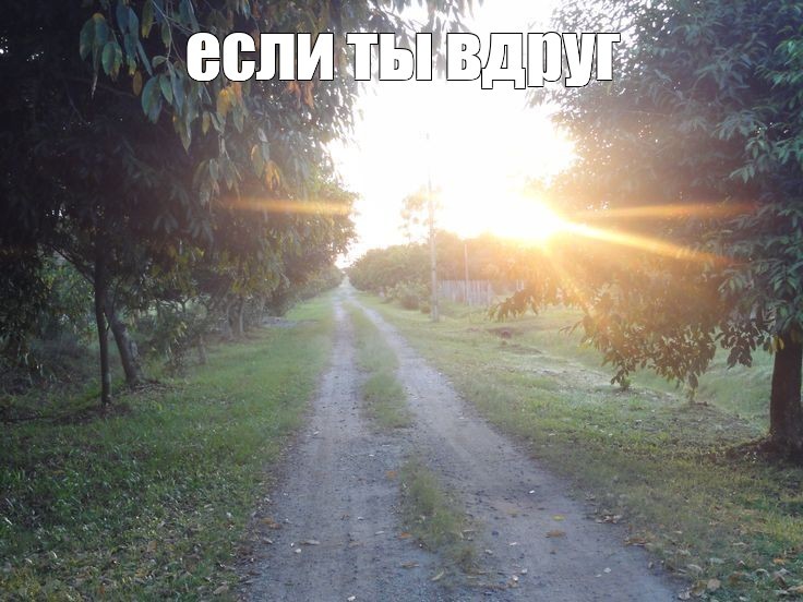 Create meme: Dawn road summer, The sun goes down, sun shine