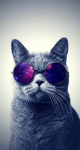 Создать мем: коты в очках, кот в очках космос, кот в очках