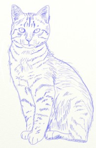 Создать мем: настоящий кот, нарисовать кошку, how to draw cat