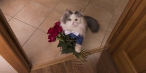 Create meme: cat, animals with flowers pictures, cat with flowers photos funny