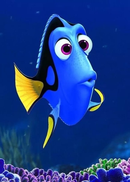 Create meme: in search of nemo, Dori and Nemo fish, fish Dori from Nemo