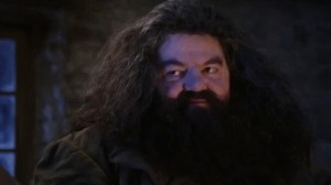 Create meme: Hagrid 