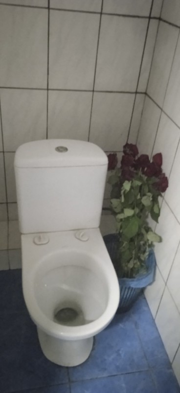 Создать мем: унитаз роса, унитаз-компакт gustavsberg nordic 3, унитаз туалет