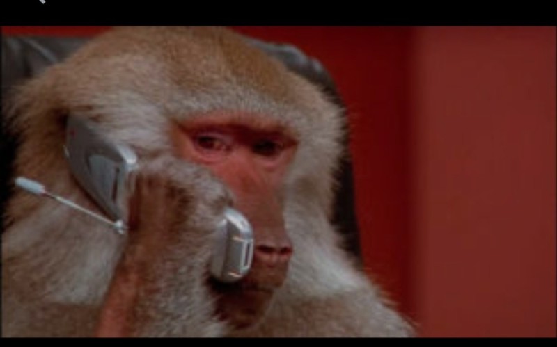 Create meme: a monkey with a phone handset, a monkey with a phone