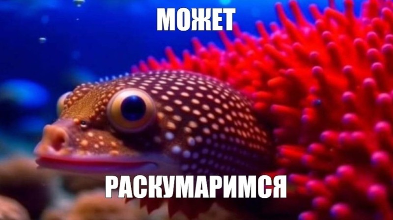 Создать мем: морские обитатели, аквариумные рыбки, красное море