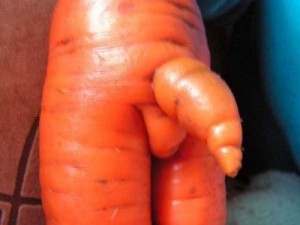 Создать мем: прикольные овощи, морковка, смешная морковка