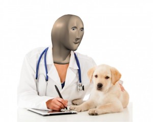 Создать мем: ветеринарный врач на прозрачном фоне, ветеринар на дом, ветеринарный врач