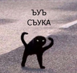 Создать мем: черный кот ъуъ, черный кот мем ъуъ, мемы