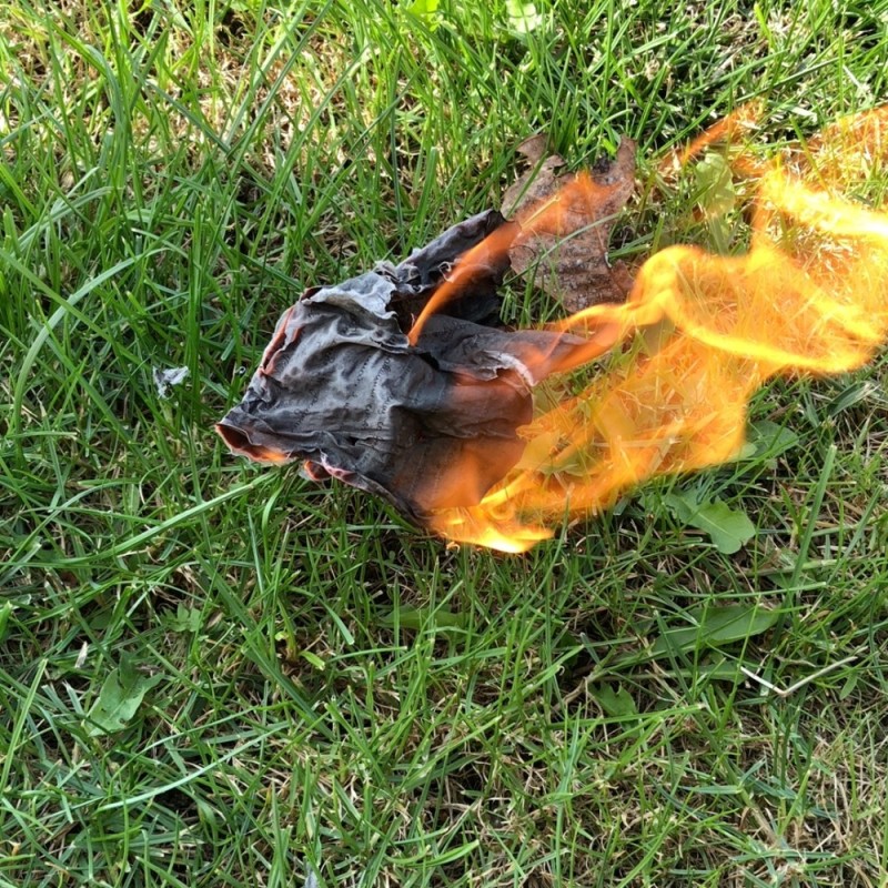 Create meme: burn burn clear, grass lawn, cat 
