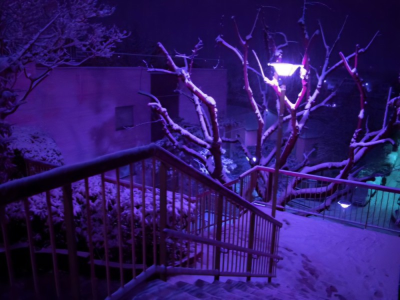 Создать мем: светодиодное дерево сакура, деревья в гирляндах зимой, снег