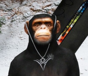 Create meme: Talking monkey, monkey, chimpanzee bot